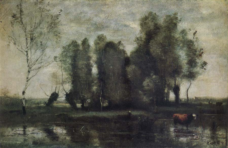 Trees amidst the Marsh